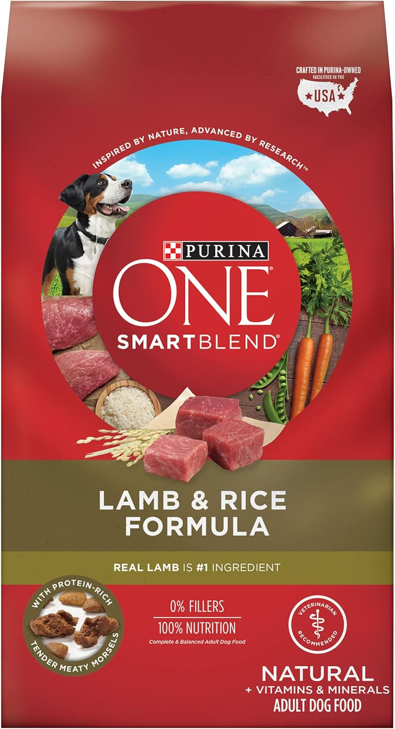 Purina ONE Dry Dog Food Lamb and Rice Formula - 31.1 lb. Bag